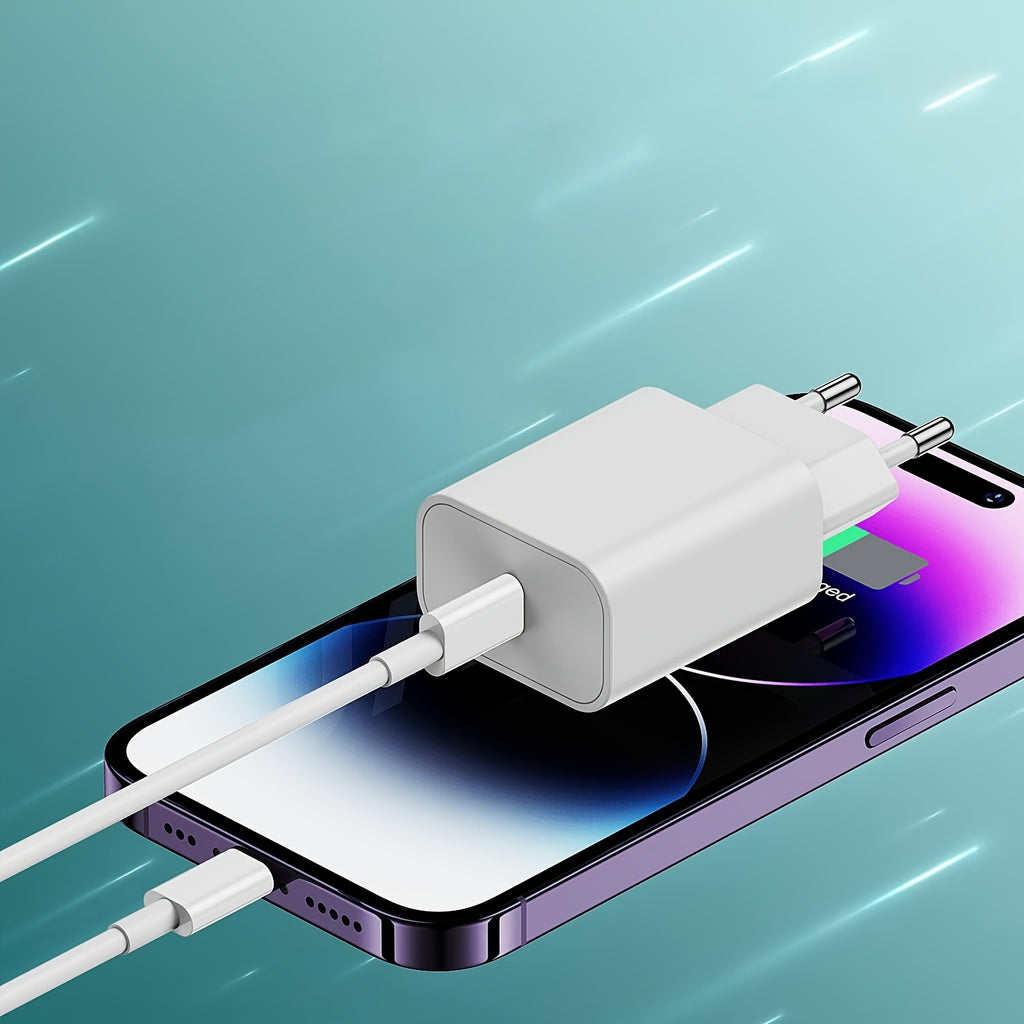 2-Pack iPhone Chargers